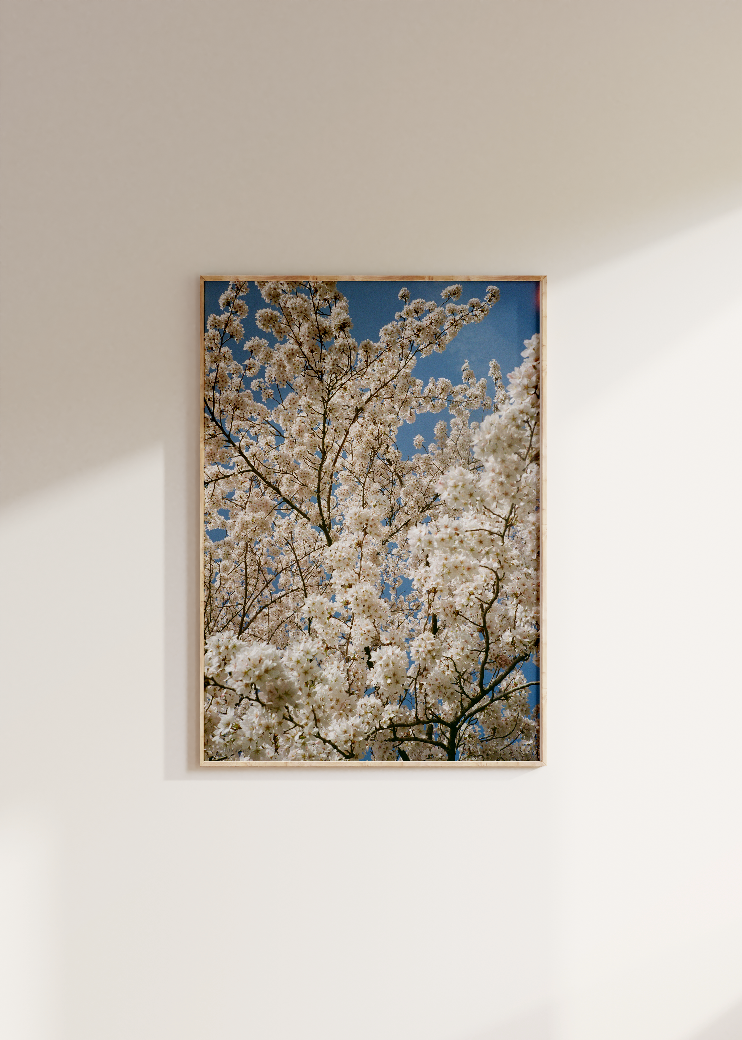Blossom II