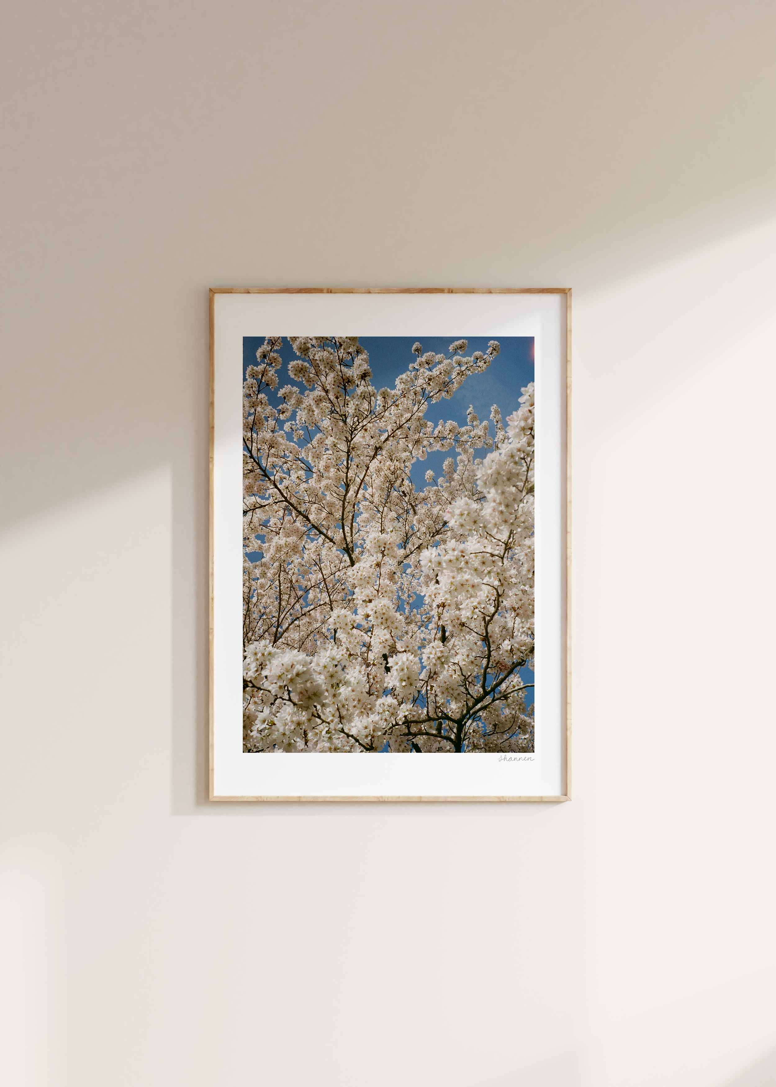 Blossom II