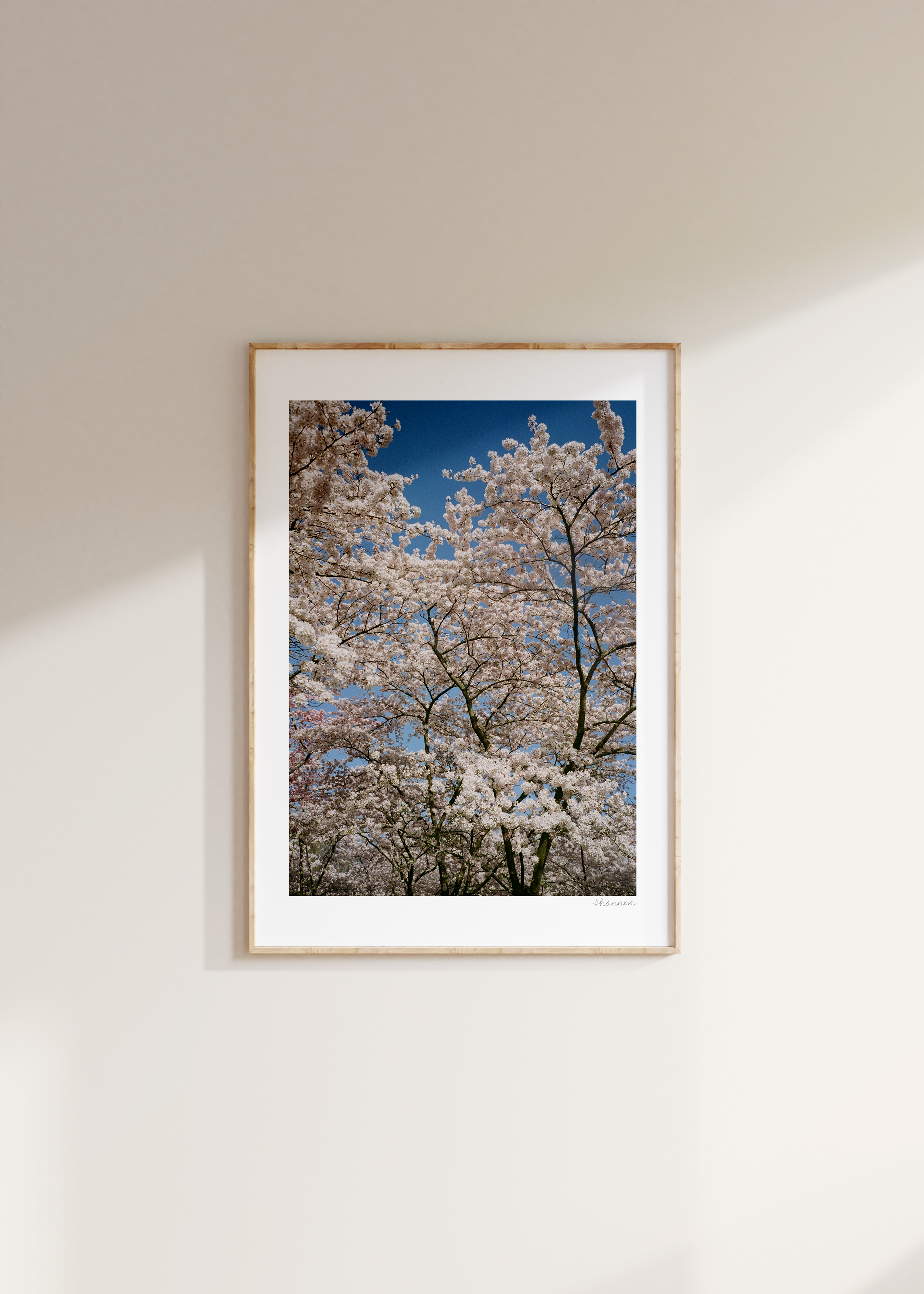 Blossom I