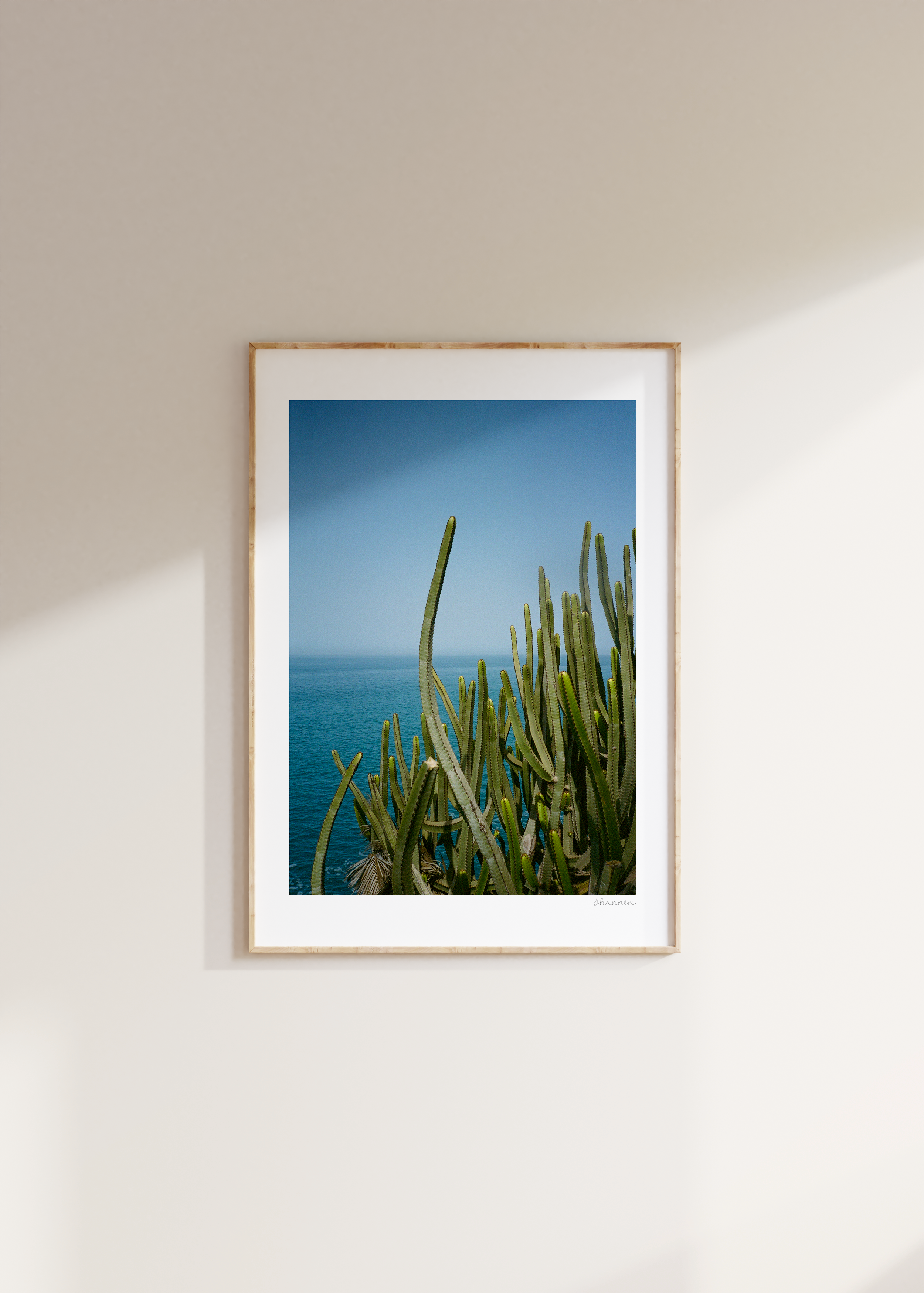 Cacti & Sea
