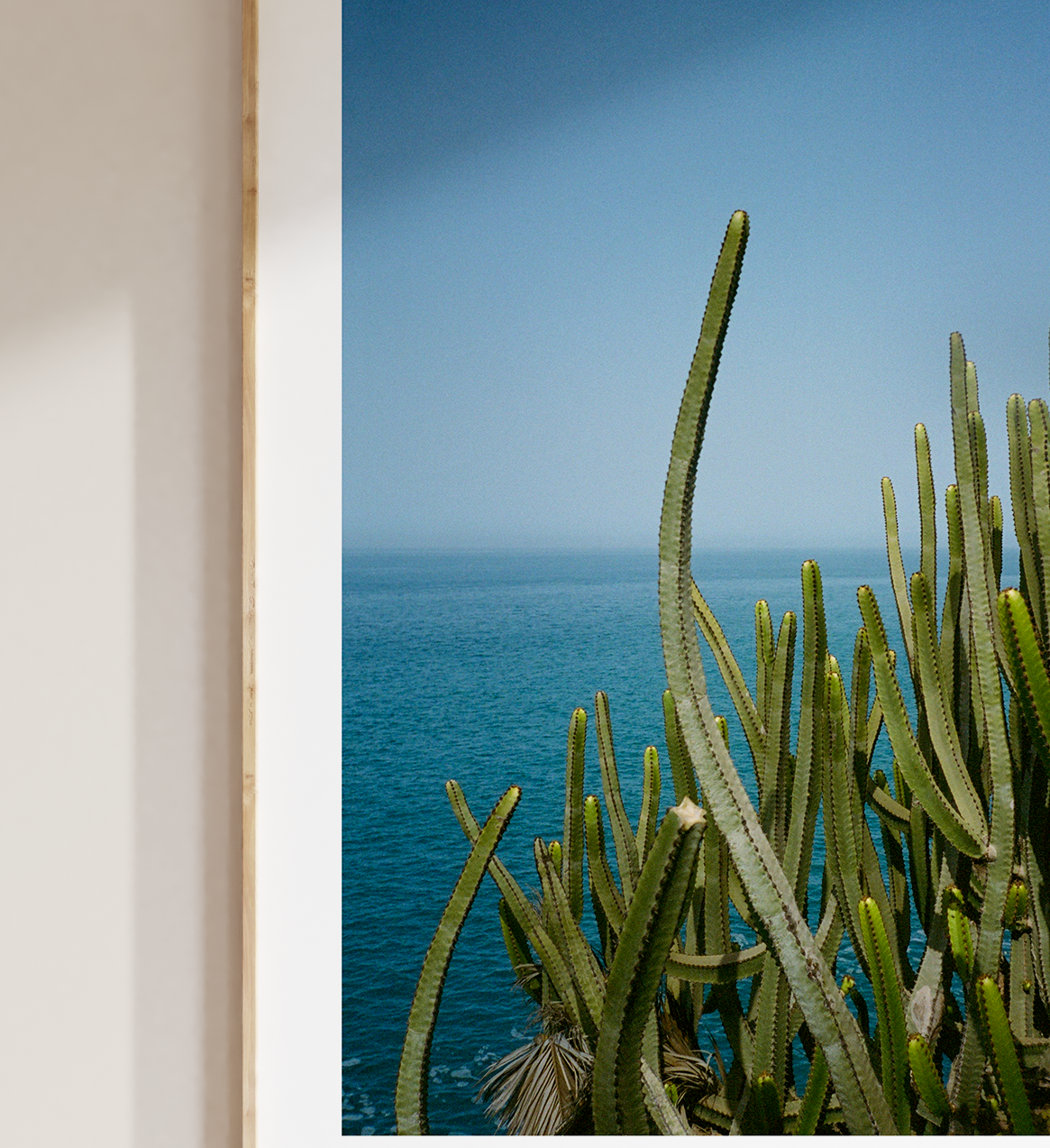 Cacti & Sea