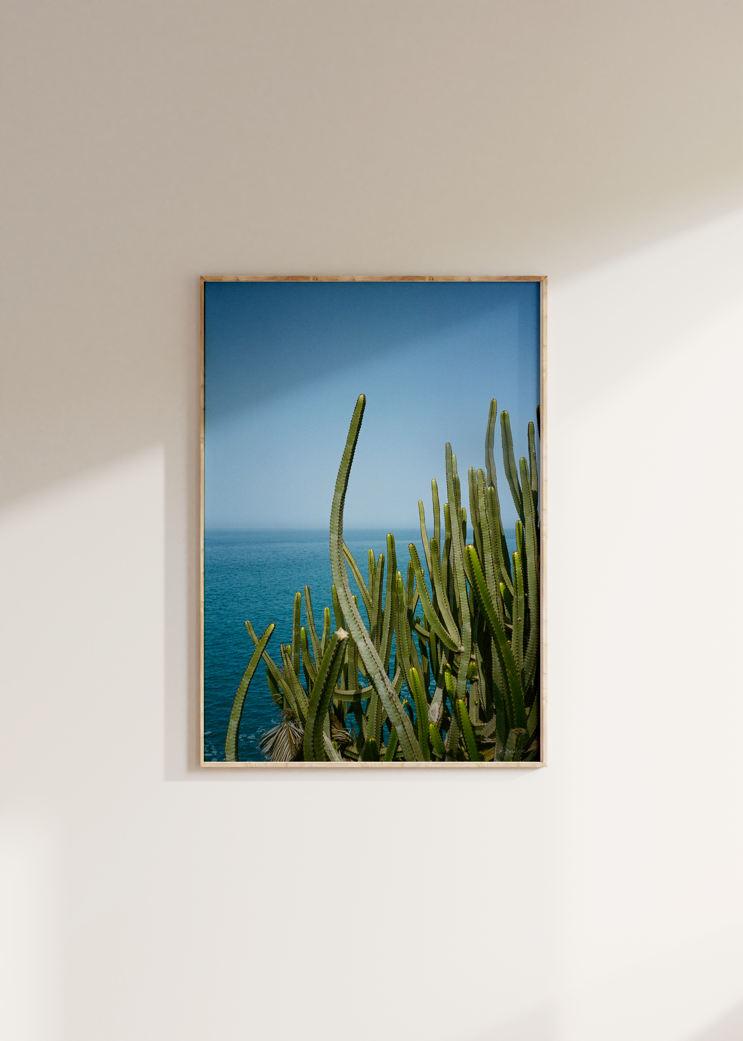 Cacti & Sea