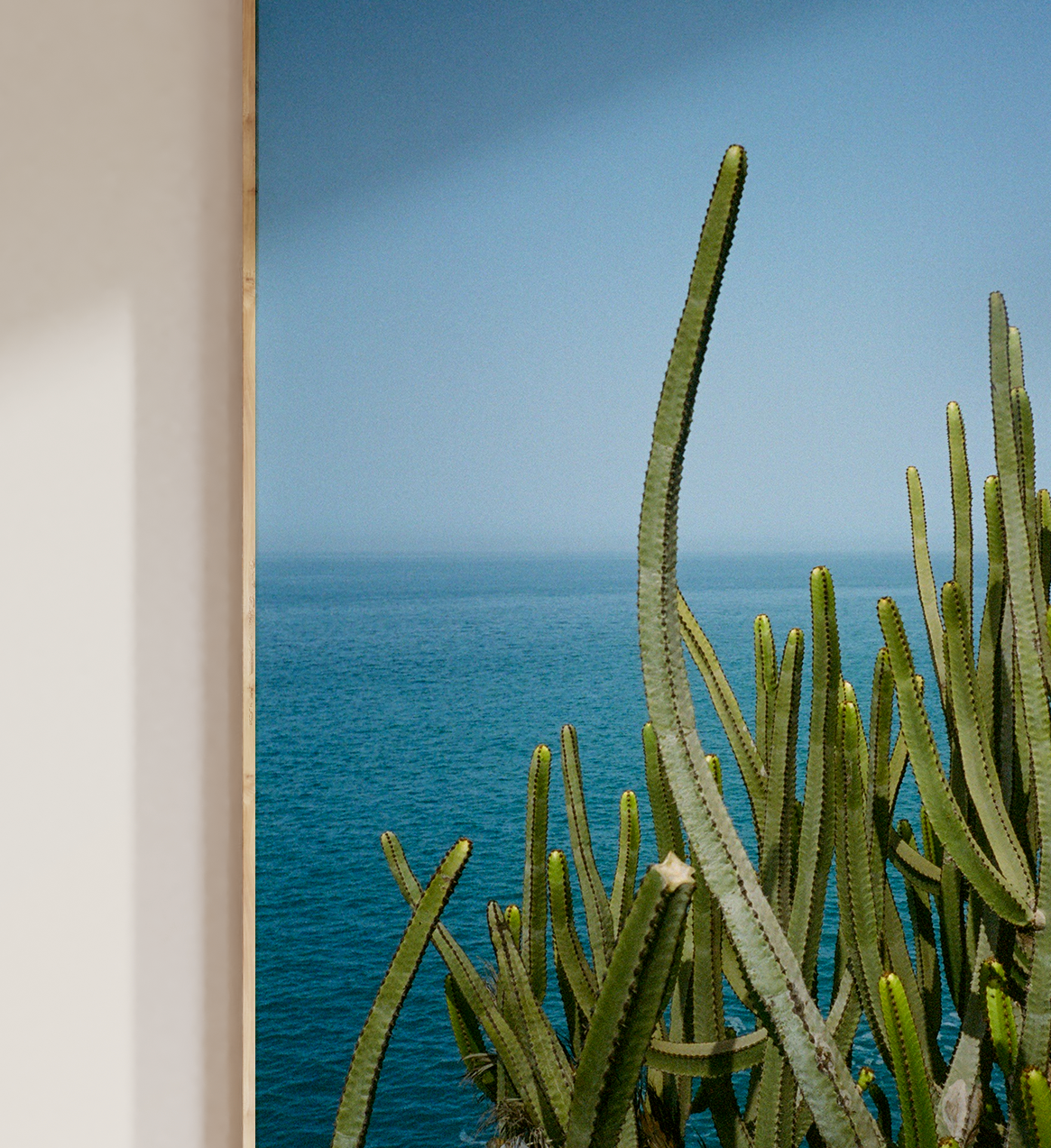 Cacti & Sea